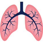 lung icon