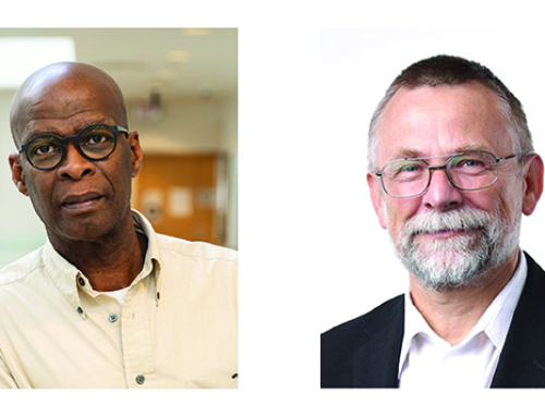 Convergent Working Groups bring new voices to Medicine by Design to explore ideas and opportunities in regenerative medicine